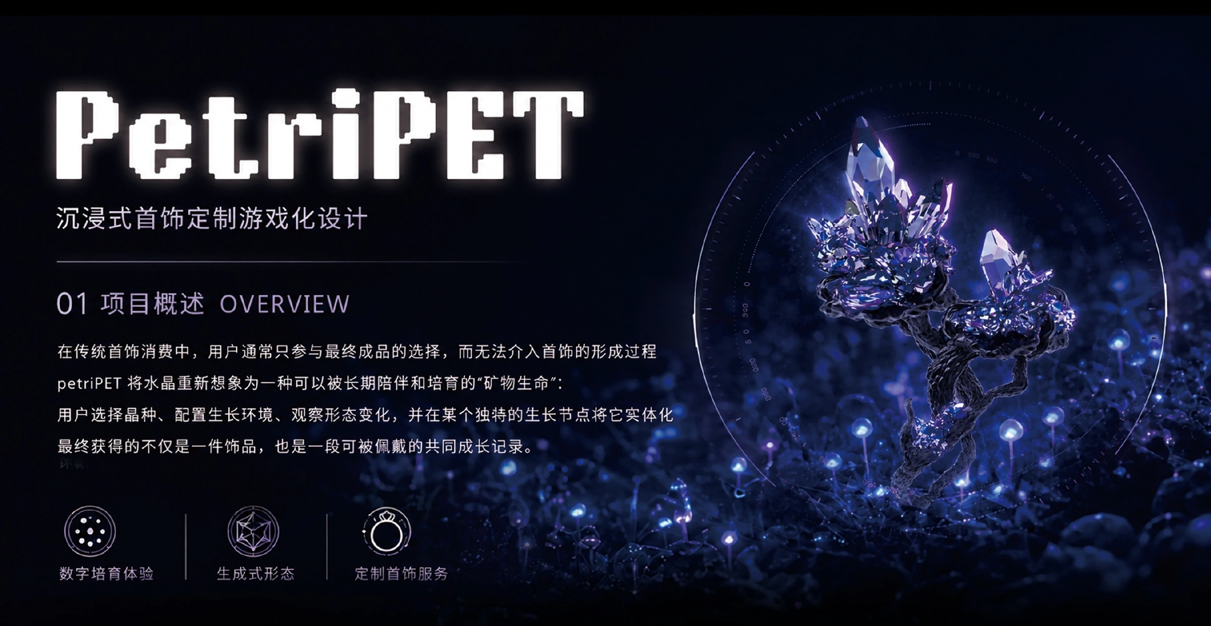 PetriPET 项目完整封面
